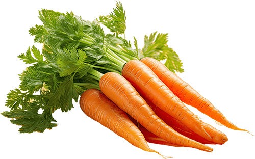 Carrot (Gajar) 1 KG