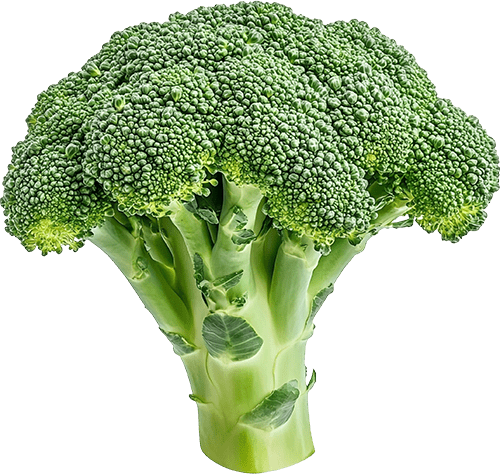 Broccoli (Shakh Gobi) Local 500g