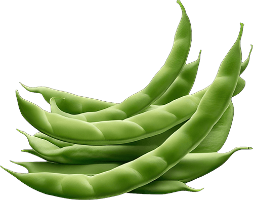 Organic Sweet Proppol 500g