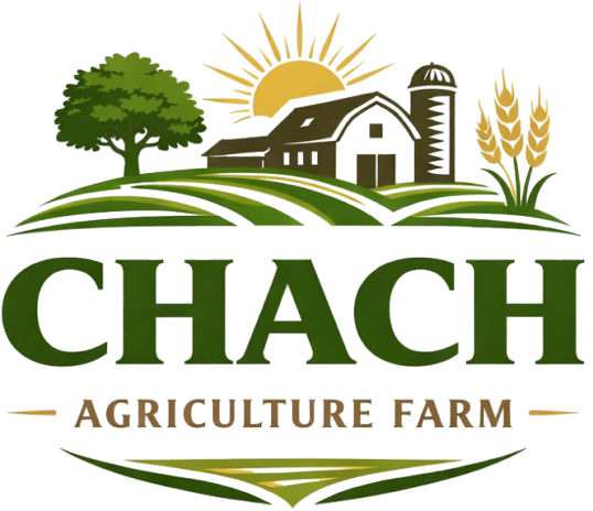 You can place an order through our website by selecting your desired products, adding them to the cart, and checking out. Our Biona Organic Granola with Wild Berries is just the thing to get you out of bed. The goodness of rolled wholegrain oats are combined with a variety of tangy organic berries, and baked into crispy clusters that are as nutritious.