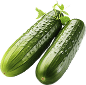 Organic Cucumbers - for a healthy life 500g